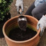Kent & Stowe Stainless Steel Hand Potting Scoop, Compact Garden Scoop for Compost and Soil, Classic All Year Round Garden Tools Made from Stainless Steel and Ash Wood - Image 3