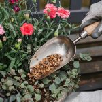 Kent & Stowe Stainless Steel Hand Potting Scoop, Compact Garden Scoop for Compost and Soil, Classic All Year Round Garden Tools Made from Stainless Steel and Ash Wood - Image 4