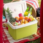 Insulated Portable Cooler - Portable Cool Box Cooler with Handle,15L Capacity Outdoor Camping Food Beverage Drink Chiller for Beach Picnic Boat Tailgating Fishing - Image 3