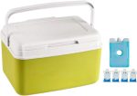 Insulated Portable Cooler - Portable Cool Box Cooler with Handle,15L Capacity Outdoor Camping Food Beverage Drink Chiller for Beach Picnic Boat Tailgating Fishing - Image 2